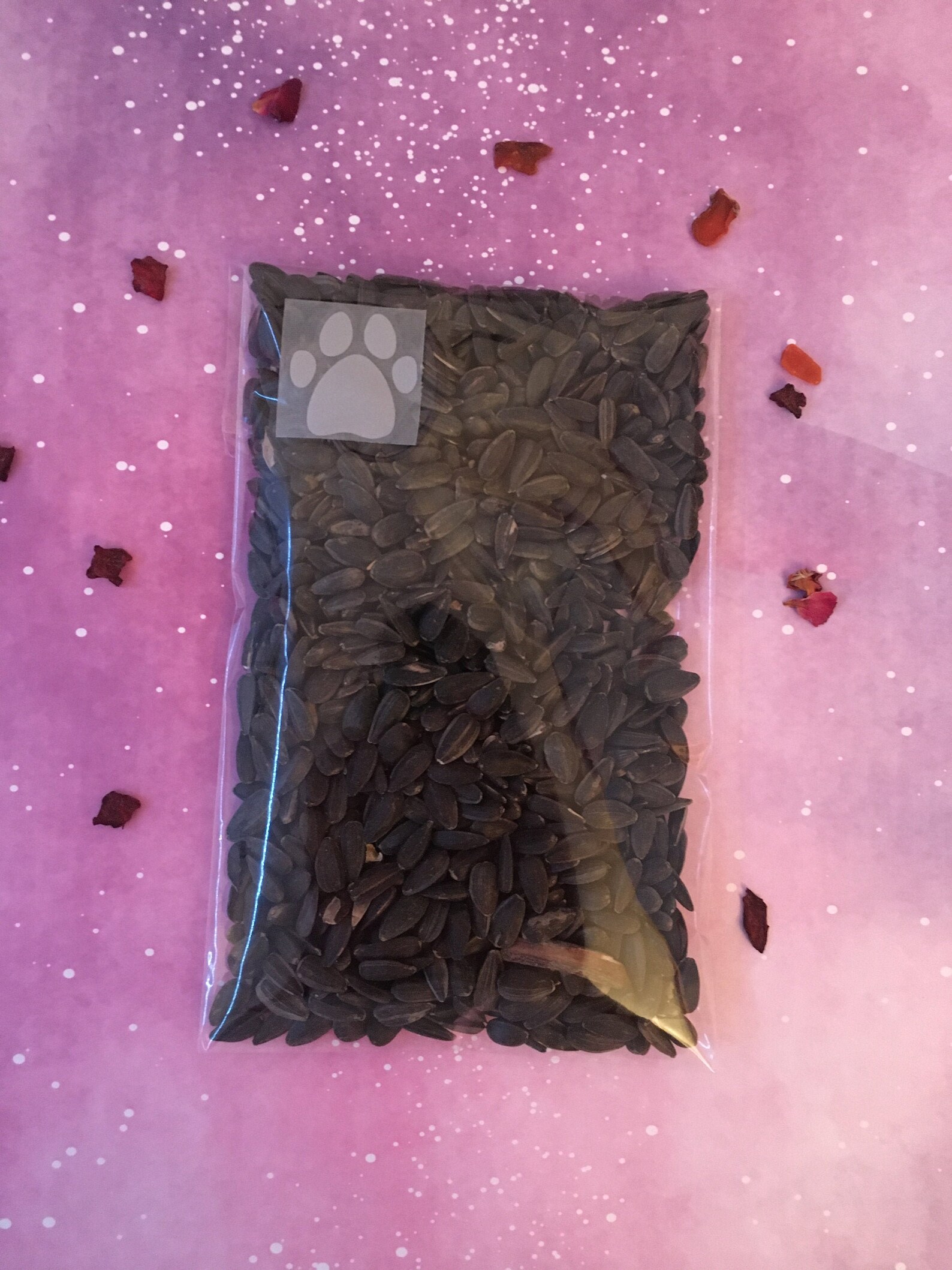 Hamster sunflower seeds Etsy