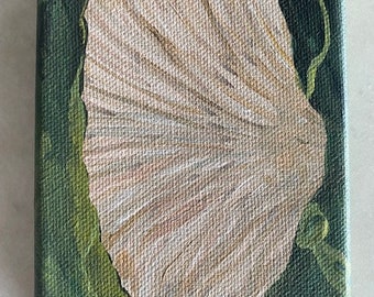 Shell Painting Original Studies Set of 3