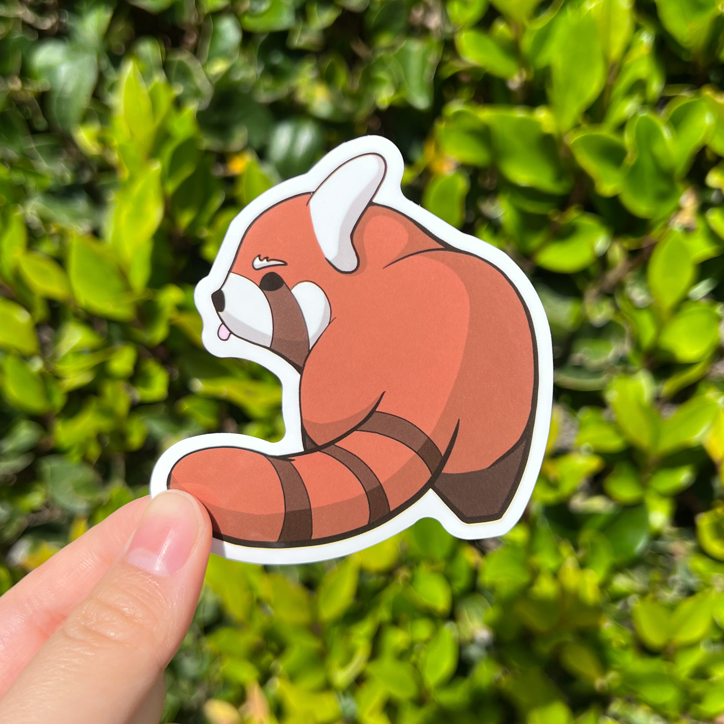 Red Panda Butt Vinyl Sticker, Cute Kawaii Laptop Stickers Waterbottle ...