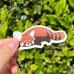 Sleeping Red Panda Vinyl Sticker, Cute Kawaii Laptop Stickers Waterbottle Stickers, Cute Animal Sticker