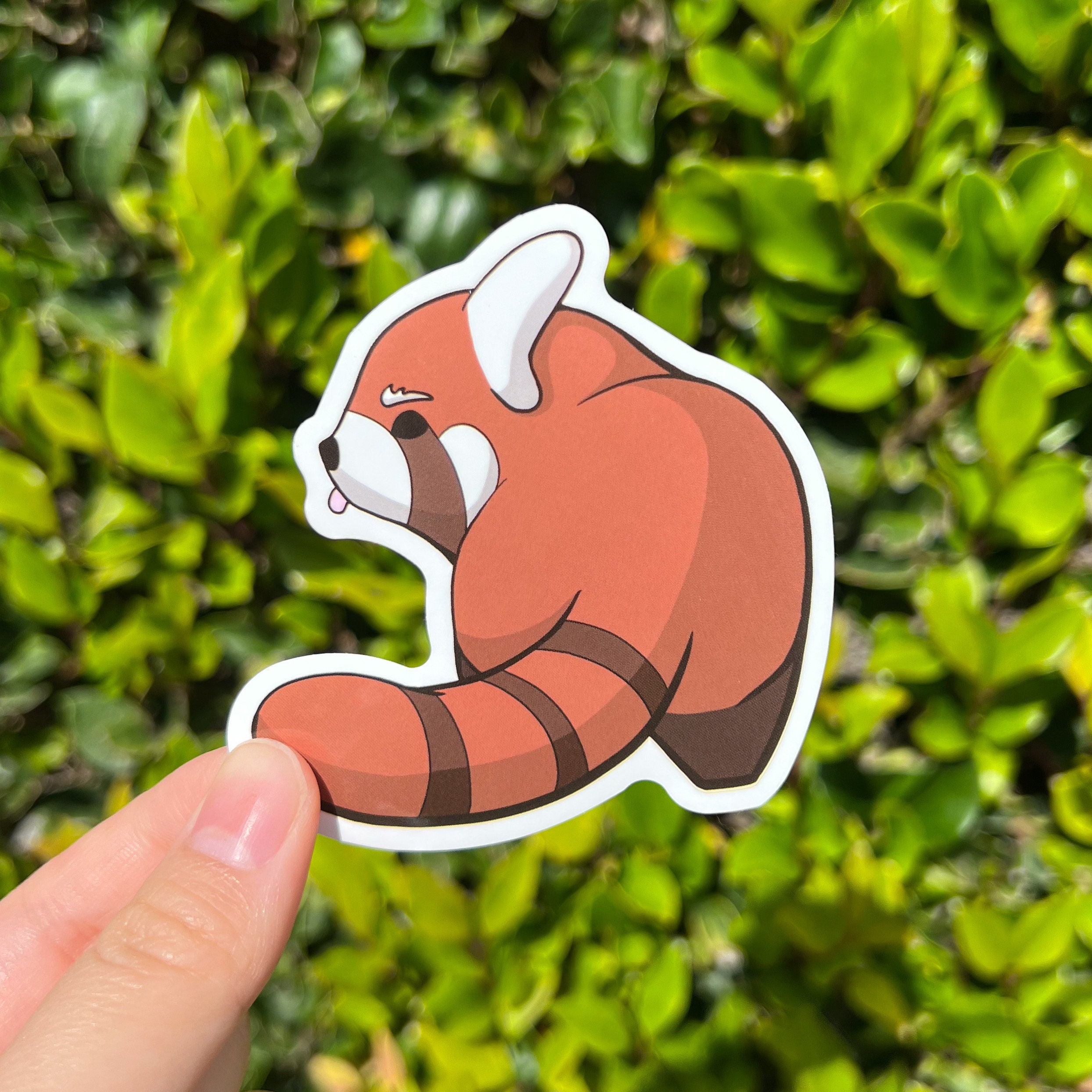 Cute Red Panda Sticker Pack, Cute Kawaii Laptop Stickers Waterbottle ...