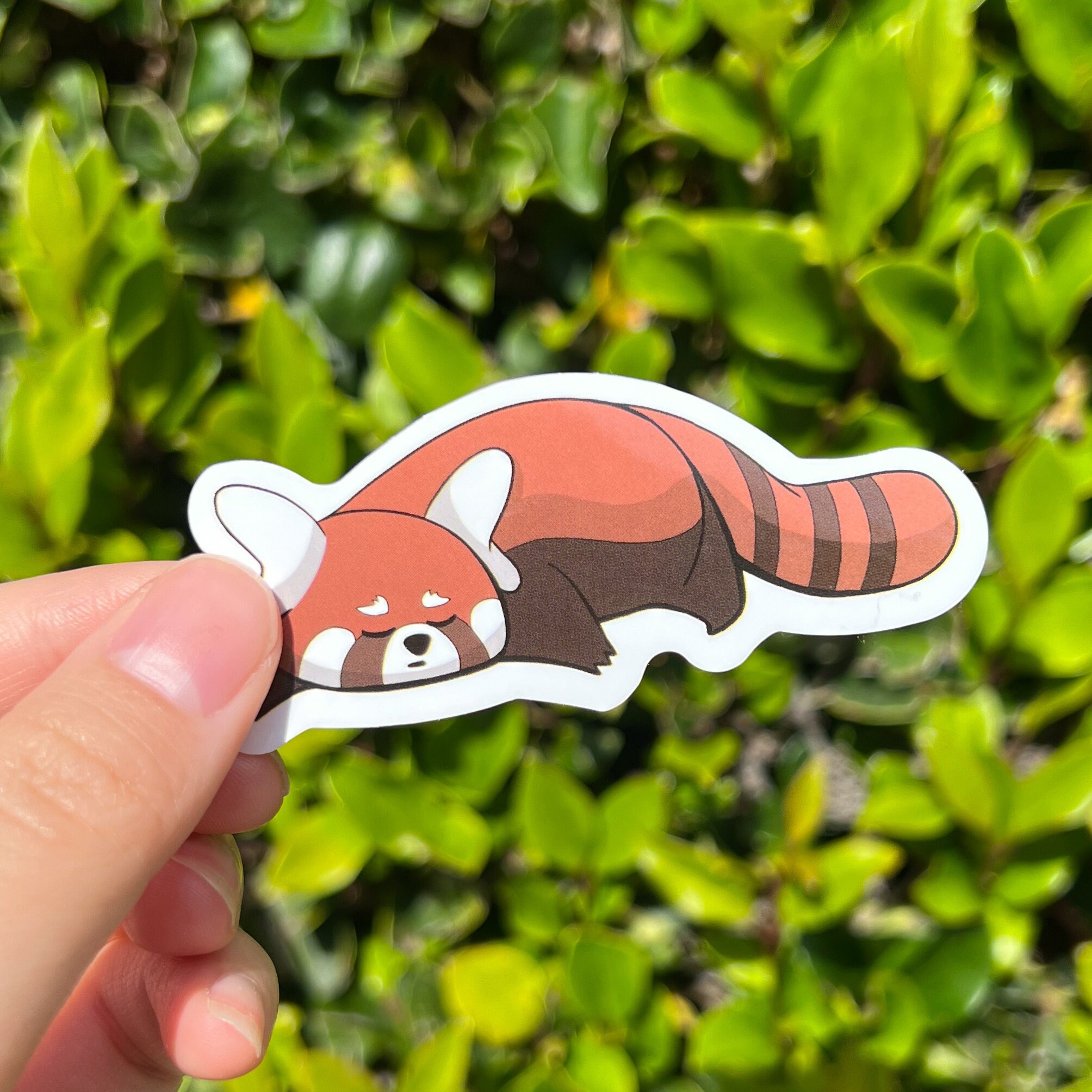 Cute Red Panda Sticker Pack, Cute Kawaii Laptop Stickers Waterbottle ...