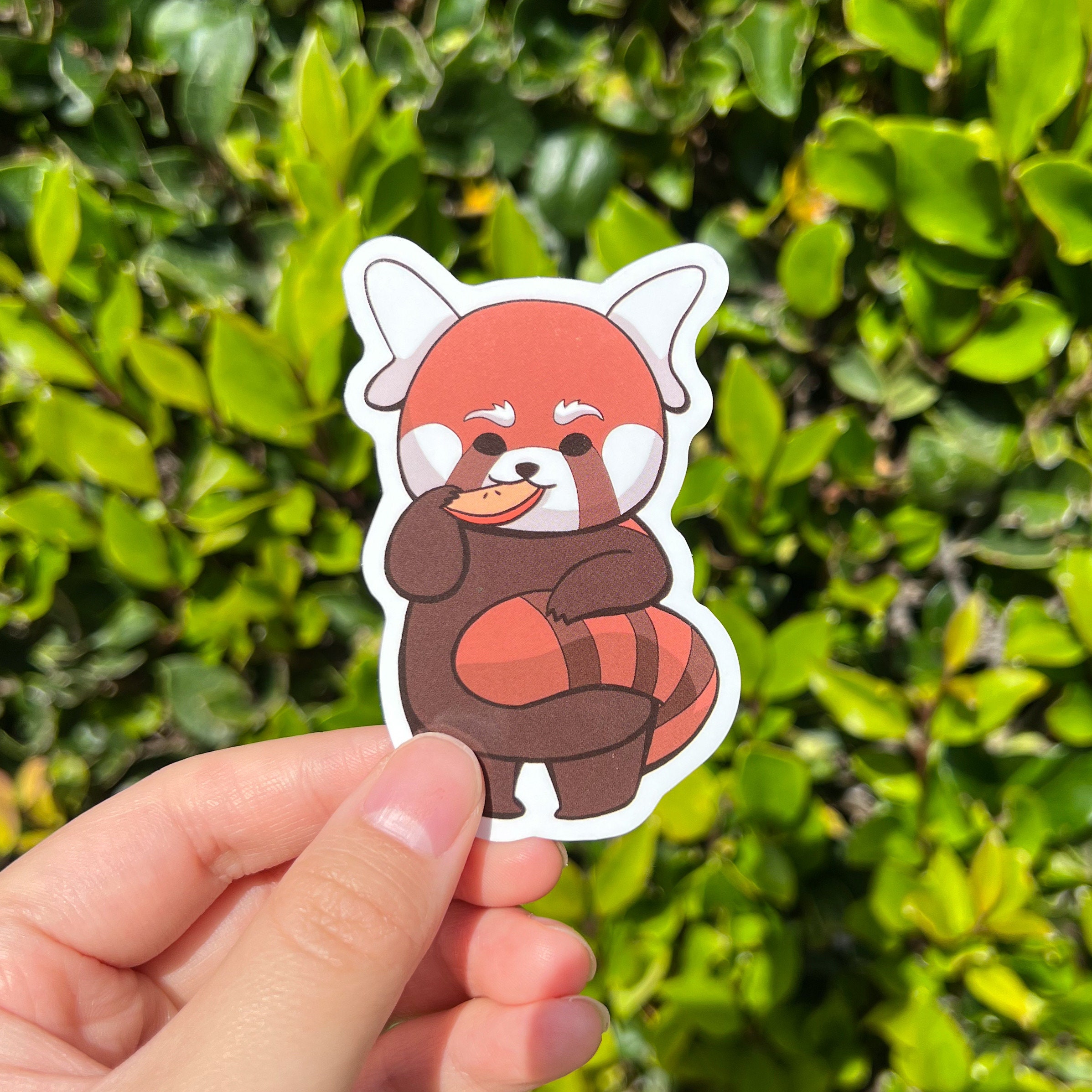 Cute Red Panda Sticker Pack, Cute Kawaii Laptop Stickers Waterbottle ...