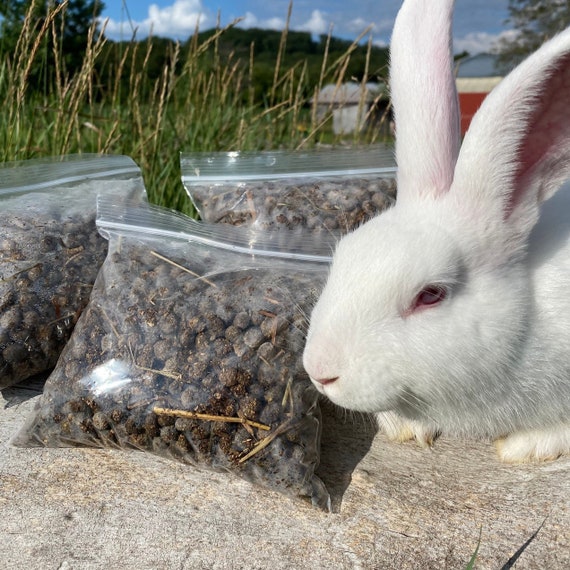 Rabbit Poop Manure Organic Fertilizer Dried All Natural Etsy
