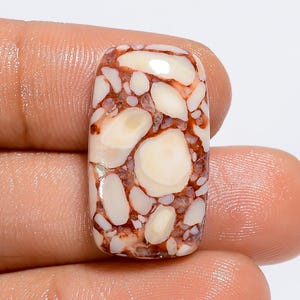 Brèche de chert naturel forme rayonnante Cabochon de brèche chert 24X14X6 mm pierre en vrac cristal de guérison pour la fabrication de bijoux