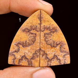 Paire de dendrites psilomélanes naturels, paire de pierres précieuses de dendrite psilomélane psilomélanes