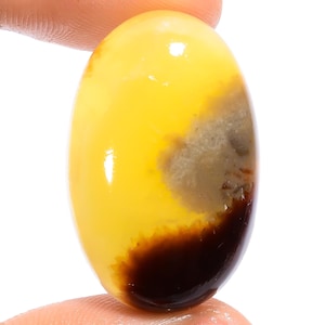 Cabochon septarien jaune naturel, pierre précieuse septarienne 33X31X5 mm, 47 carats, pierre septarienne en vrac, cristal septarien jaune pour la fabrication de bijoux