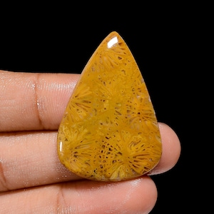 Natural Fossil Coral Cabochon Loose Gemstone Pear Shape Fossil Coral Stone 38X26X4 mm 34 Carat Fossil Coral Crystal For making Jewelry