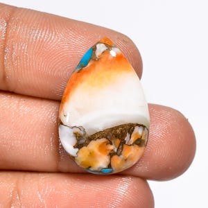 Huître turquoise, forme de poire, huître turquoise, cabochon, 24X16X5 mm, 18 carats, huître turquoise, pierre pour la fabrication de bijoux
