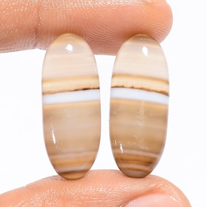 Paire d'agate noire naturelle du Botswana, forme ovale Paire de pierres précieuses en agate du Botswana 24 x 9 x 4 mm 21 carats Paire d'agate noire du Botswana pour faire des boucles d'oreilles