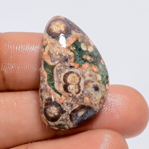 Cabochão de jaspe crocodilo natural, pedra preciosa solta para fabricação de joias, tamanho 27 x 16 x 6 mm