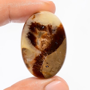Cabochon septarien ovale en pierre gemme septarienne jaune naturel 34X24X5 mm pierre septarienne en vrac cristal septarien jaune pour la fabrication de bijoux