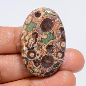 Cabochão de jaspe crocodilo natural, pedra preciosa solta para fabricação de joias, tamanho 36 x 23 x 5 mm