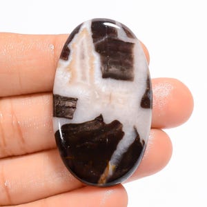 Pierres précieuses naturelles septariennes gronates forme ovale septarian gronates cabochon 43X26X5 mm 57 carats septarian pierre en vrac pour la fabrication de bijoux