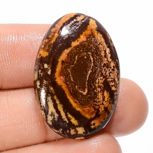 28X20X5 mm Größe Outback Jaspis Edelstein Oval Form Holzschirm Outback Kristall