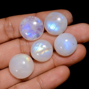 5 pezzi di pietra di luna cabochon lotto 14X14 16 x 16 mm dimensioni pietra di luna 5 pezzi lotto
