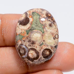 Cabochão de jaspe crocodilo natural, pedra preciosa solta para fabricação de joias, tamanho 24 x 18 x 6 mm