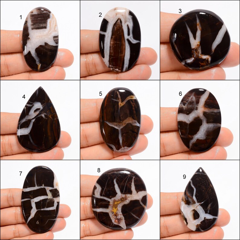 Natural Septarian Gronates Gemstone Septarian Gronates Cabochon