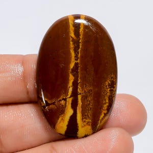 36X23X4 mm Größe Natürlicher Outback Jaspis Edelstein Oval Form Holzschirm Outback Jaspis