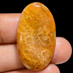 Natural Fossil Coral Cabochon Loose Gemstone Oval Shape Fossil Coral Stone 33X19X5 mm 31 Carat Fossil Coral Crystal For making Jewelry