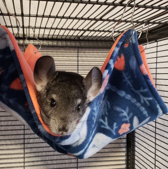 chinchilla hammock