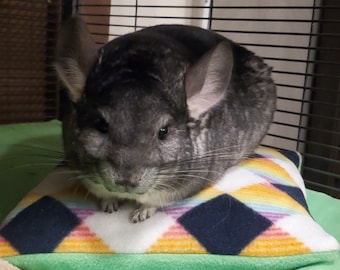 May include: A gray chinchilla sits on a small pillow with a colorful diamond pattern. The pillow rests on a green surface. The chinchilla has large ears and is looking towards the viewer. The background includes a wire cage.