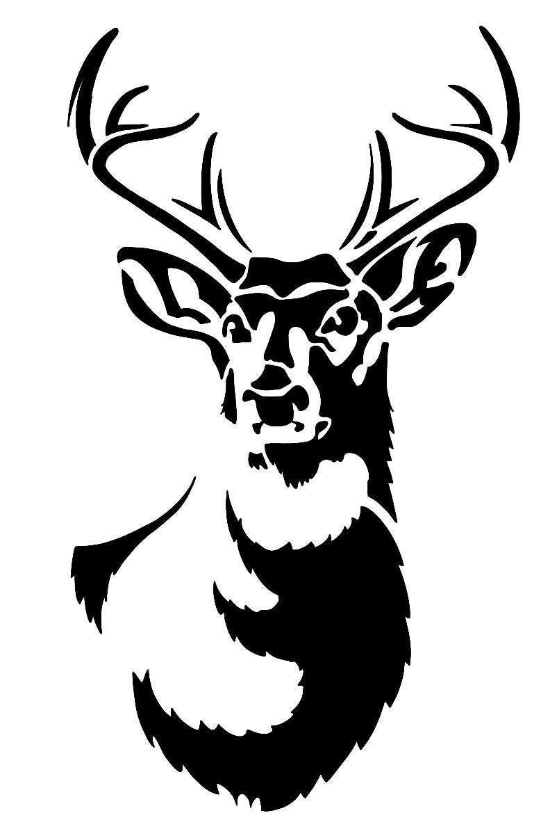 Deer in the Headlights Vinyl Sticker - Etsy