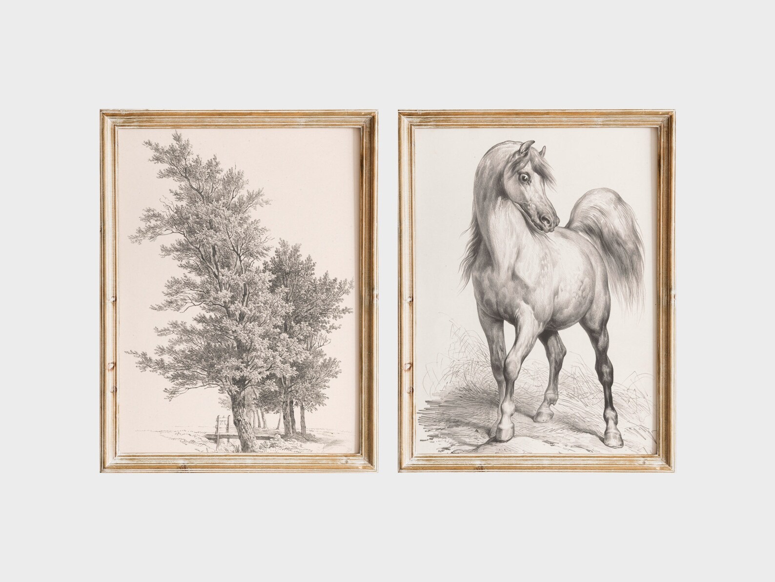 Vintage Wall Art Old Drawing Set of 2 Downloadable Print Etsy