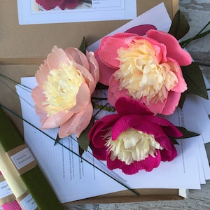 Paper Flower Kit - Peony. Papercraft kit for women. A creative