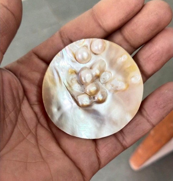 Natural Sea Shell Pearl Mother of Pearl Handmade Mother of Etsy