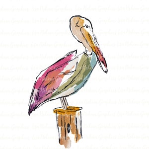 Pelikan Vogel PNG Clipart Grafik Art Sublimation Digital Download Instant Hand gezeichnet Bunt Küste Strand Tropische Clipart Maritim
