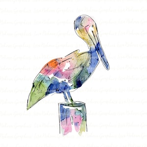 Acquerello Pellicano PNG Clipart Grafica Arte Sublimazione Digital Download Istantaneo Colorato Spiaggia Costiera Tropicale Clipart Nautico