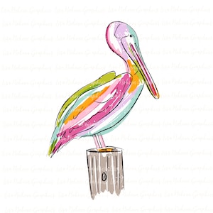 Pelikan Clipart Kommerzielle Sublimationsgrafik Pelikan PNG Vogel Clipart Download Handgezeichnete Clipart Bunter Strand Tropische Clipart