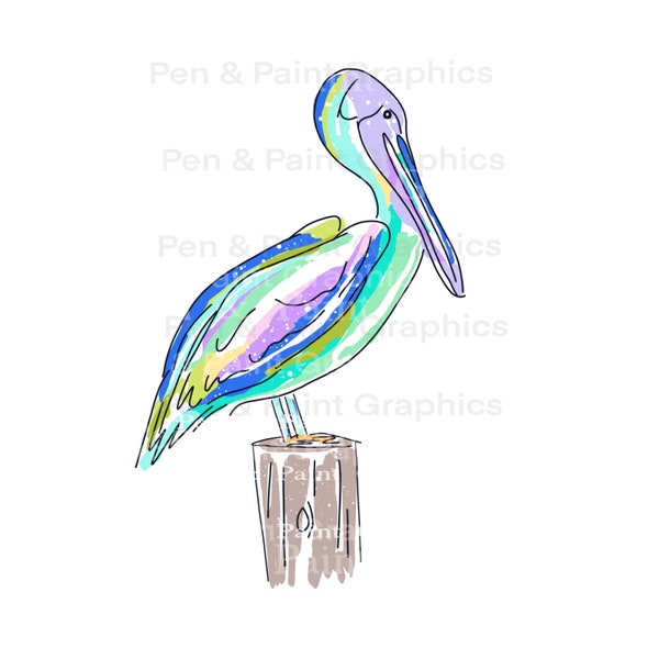 Pelican Bird PNG Clipart Graphic Art Sublimation Digital Download  Instant Hand Drawn Colorful Coastal Beach Tropical Clipart Nautical