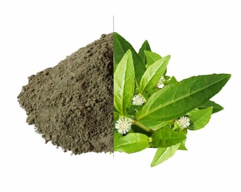 Beste 100% natuurlijke en herbal Bhringraj poeder voor haargezondheid biologische Bhringaraj poeder Indiaas biologisch en puur