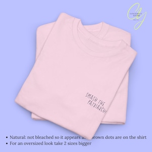 Smash the Patriarchy funny Cat Activist Shirt Feminist Pocket Print Back Print Tee Political Cat Meme Gift for Women Unhinged Humor Tee 90s Light Pink