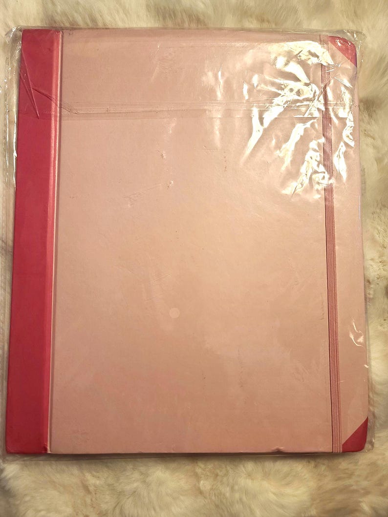 May include: A rectangular notebook with a light pink cover and a darker pink spine. The notebook features a matching pink elastic band closure that runs vertically along the right side. The entire item is encased in a clear plastic protective sleeve.
