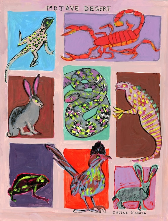 Desert Animals Art Print, Southwest Wildlife Illustration - Etsy