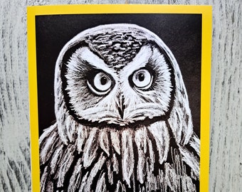 Owl Greeting Card Original Artwork