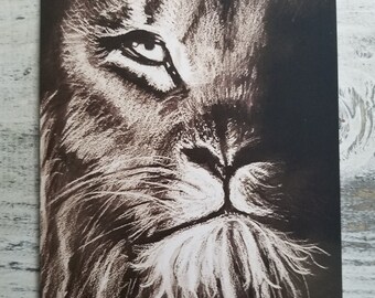 Lion Blank Greeting Card - Original Artwork
