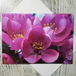 Carte de voeux vierge Blossom