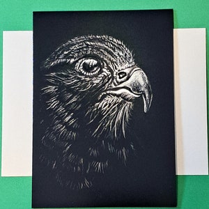 Oeuvre d'art originale de carte de voeux faucon / animalier
