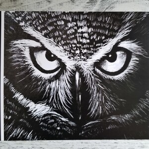 Carte de voeux vierge noir et blanc hibou - oeuvre d'art originale