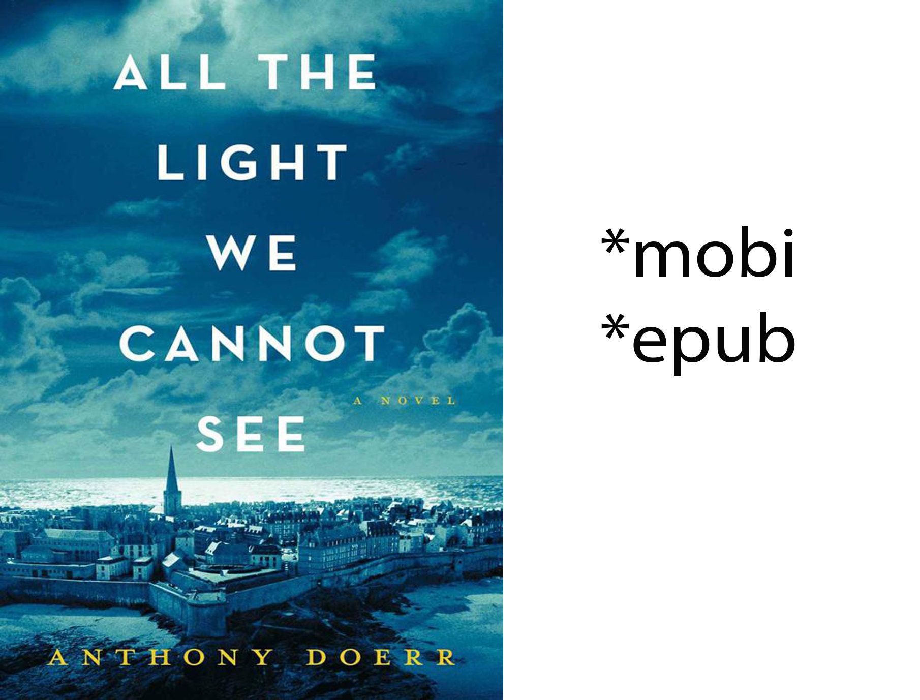 All the Light We Cannot See: A Novel | Etsy