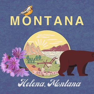 Cartolina di Helena Montana, cartolina da collezione della capitale dello Stato