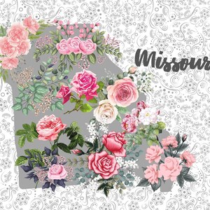 Carte postale du Missouri, carte postale florale d’état de collection, cadeau pour le collecteur de carte postale, carte postale de fleur, souvenir du Missouri