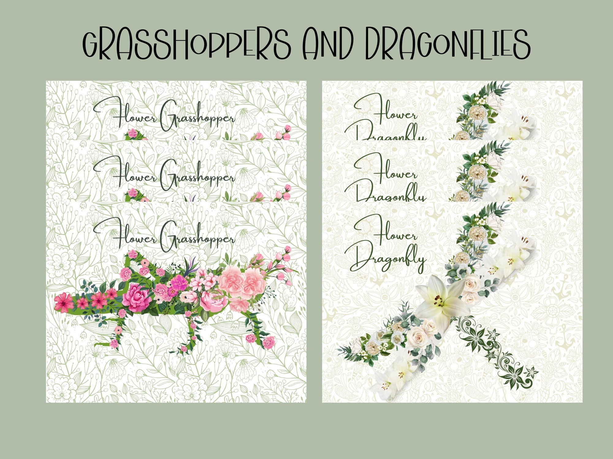 Set of 6 Grasshoppers and Dragonflies Postcard Bundle