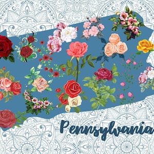 Bella cartolina della Pennsylvania, saluti dalla Pennsylvania, cartolina floreale, collezione di cartoline di stato, cartolina pen pal