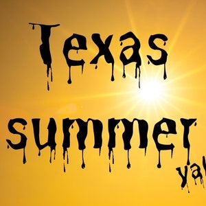 Texas Summer Postcard, Collectible State Postcard, Postcrossing from Texas, Texas is HOT