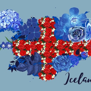 Carte postale de la fleur d’Islande